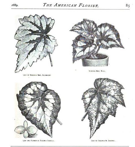 B. ‘M. Charrat’